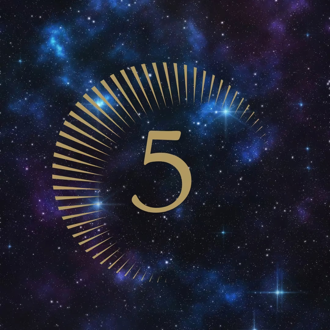 Linie 5 im Human Design wirklich verstehen