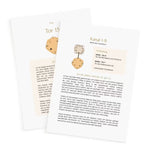 Human Design Kids Reading